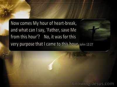 John 12:27 The Hour Of Heartbreak Has Come (windows)06:19
